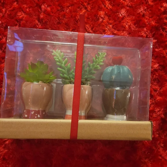 Kohl's Celebrate Together™ Valentine's Day Artificial Succulent Planter 3-pieces - Picture 6 of 16